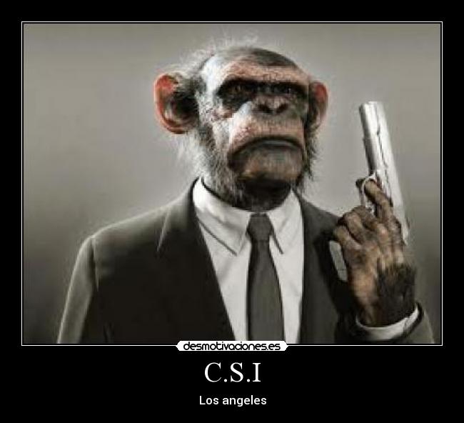 C.S.I - 