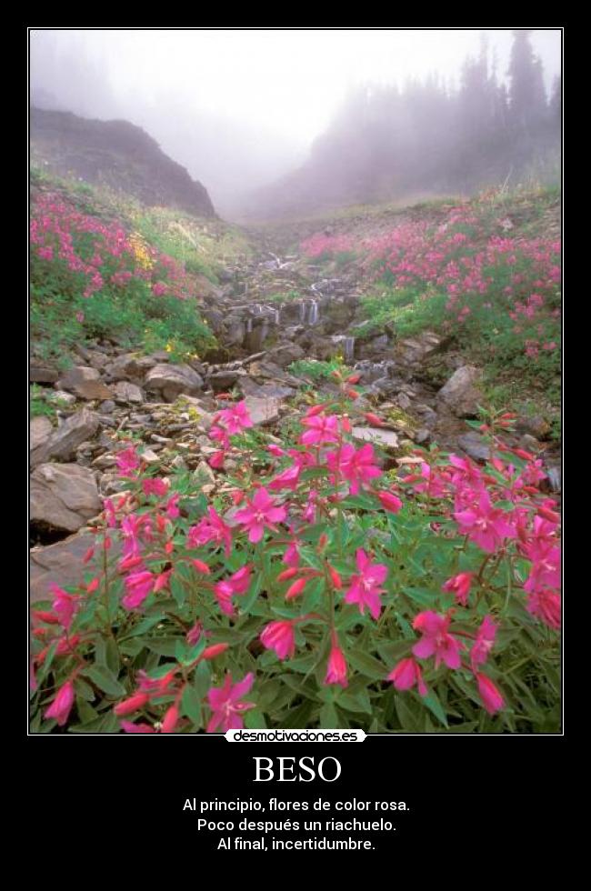 BESO - Al principio, flores de color rosa.
Poco después un riachuelo.
Al final, incertidumbre.
