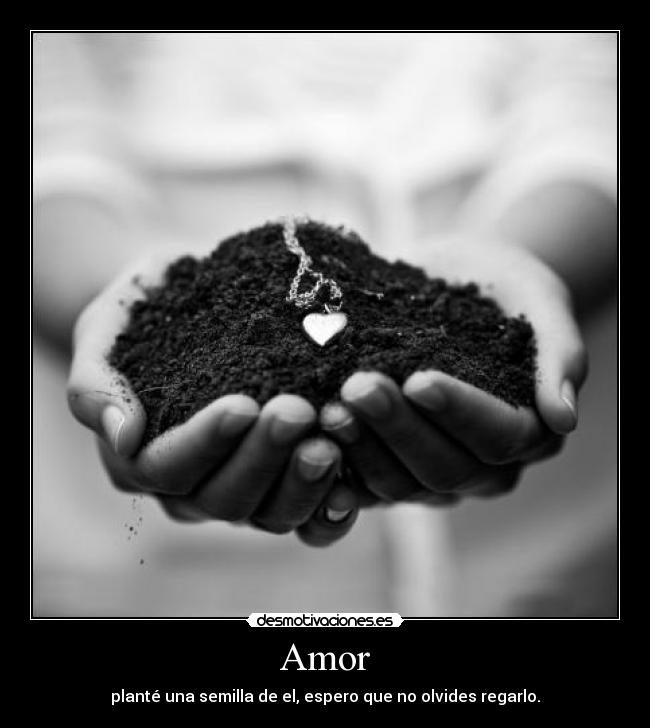 carteles amor amor cuidar desmotivaciones