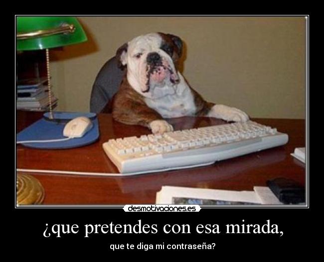 ¿que pretendes con esa mirada, - que te diga mi contraseña?