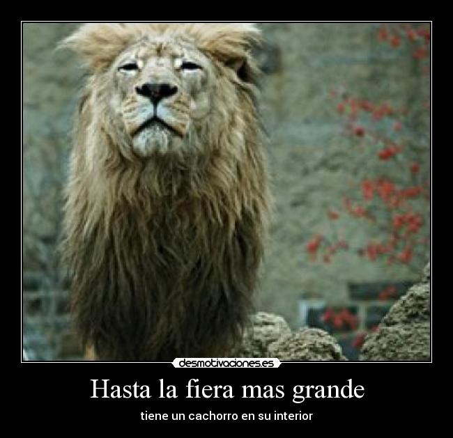 carteles thebestkiller8 desmotivaciones