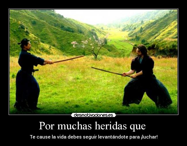 Por muchas heridas que - Te cause la vida debes seguir levantándote para ¡luchar!