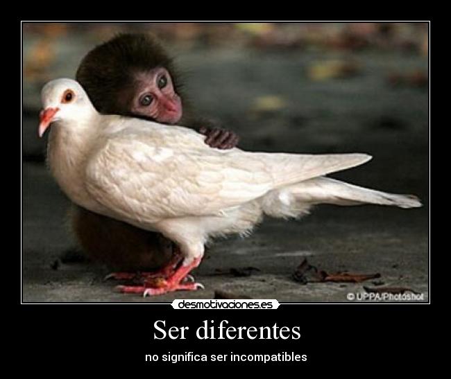 Ser diferentes - 