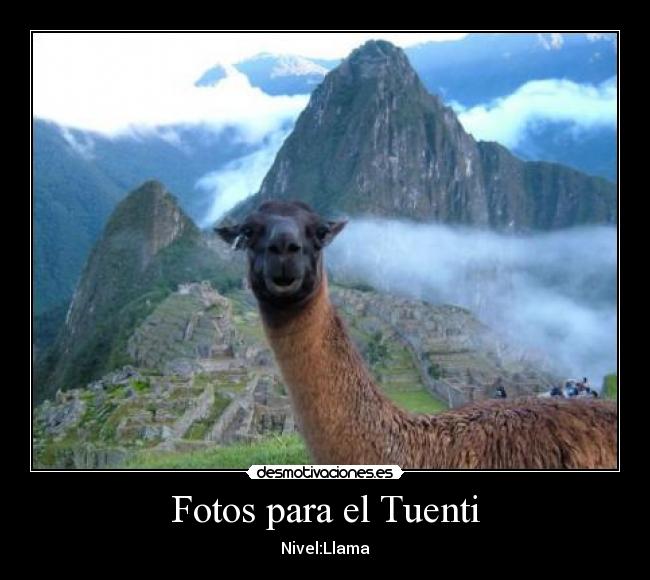 Fotos para el Tuenti - Nivel:Llama