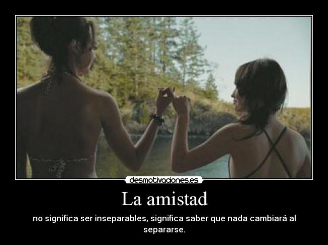 carteles amistad amistad inseparables significado desmotivaciones