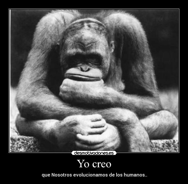 Yo creo - que Nosotros evolucionamos de los humanos..