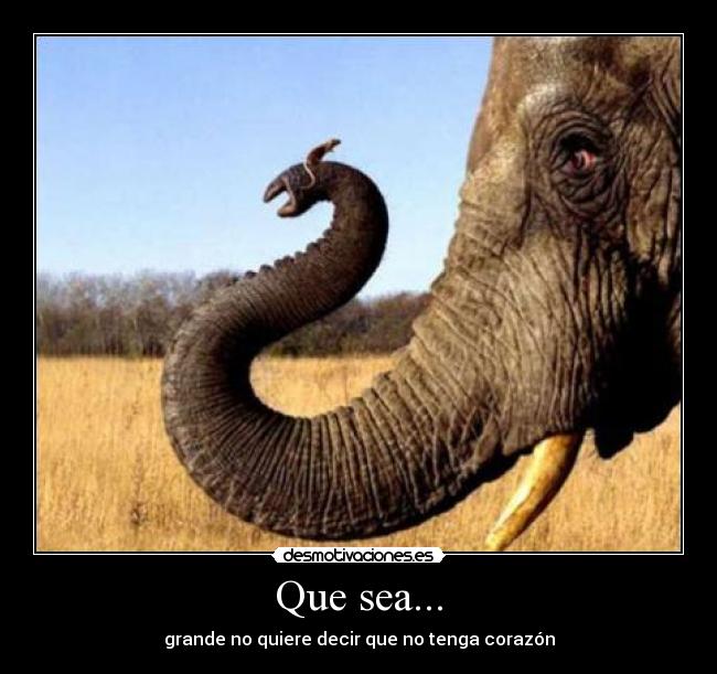 Que sea... - 