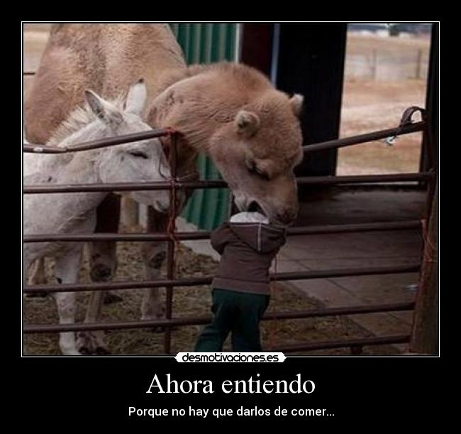 Ahora entiendo - Porque no hay que darlos de comer...