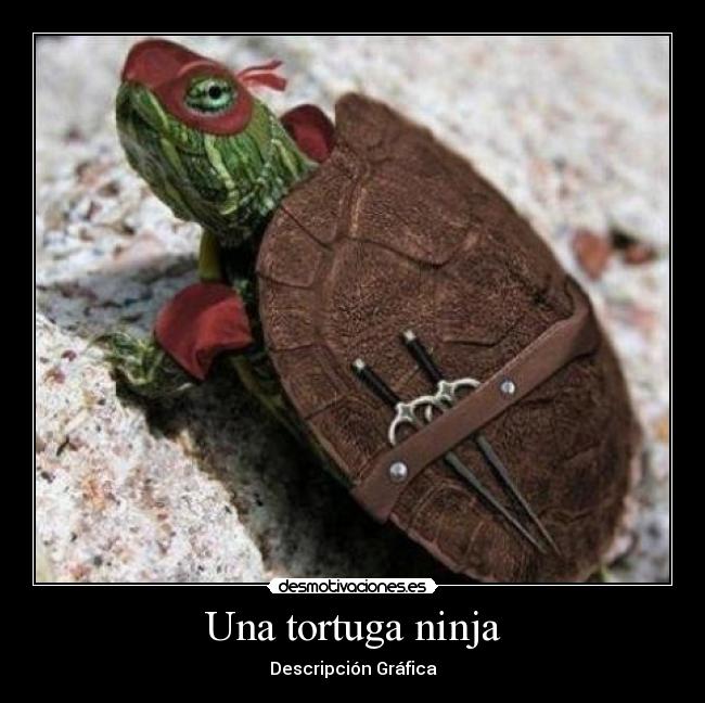 Una tortuga ninja - Descripción Gráfica