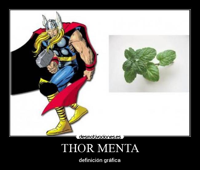 THOR MENTA - 