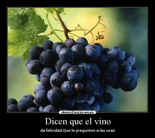 Dicen que el vino - 