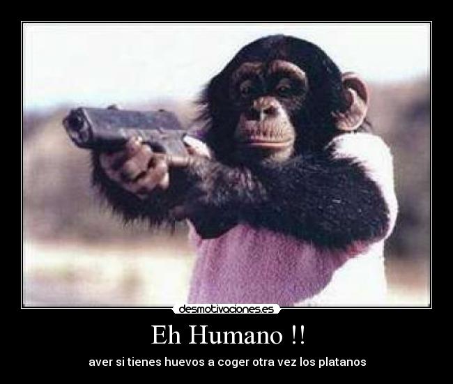 Eh Humano !! - aver si tienes huevos a coger otra vez los platanos