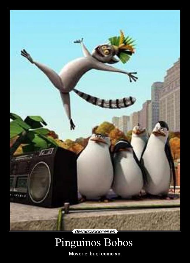 Pinguinos Bobos  - 