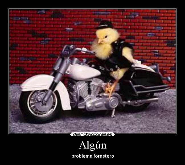 Algún - 