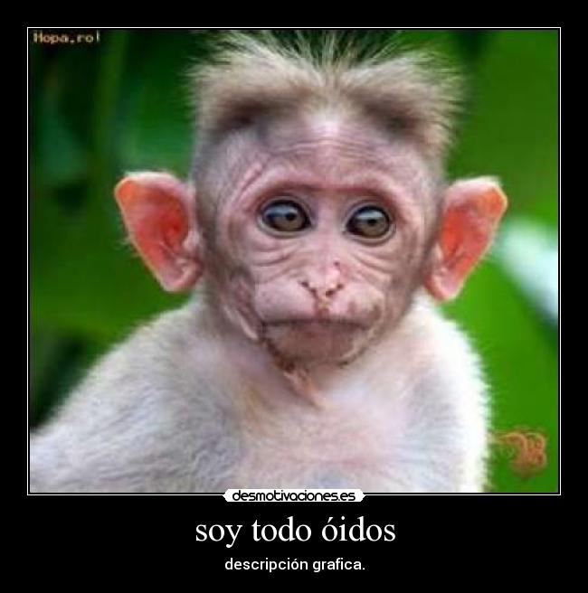 soy todo óidos - 