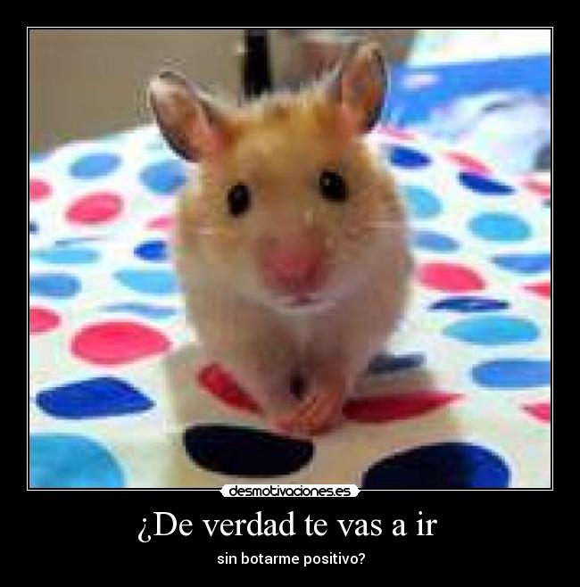 ¿De verdad te vas a ir  - 