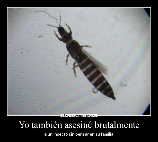 Yo también asesiné brutalmente - a un insecto sin pensar en su familia.