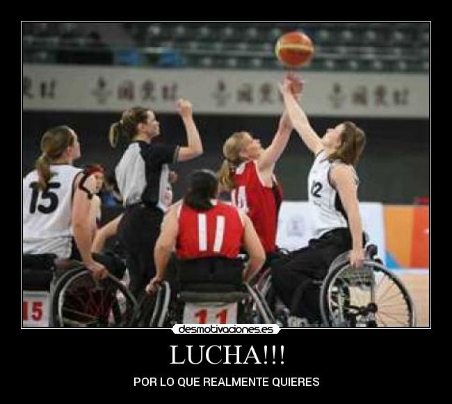 LUCHA!!! - 
