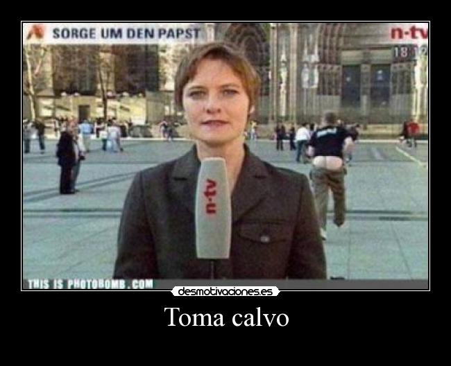 Toma calvo - 