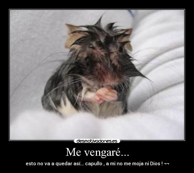 Me vengaré... - 