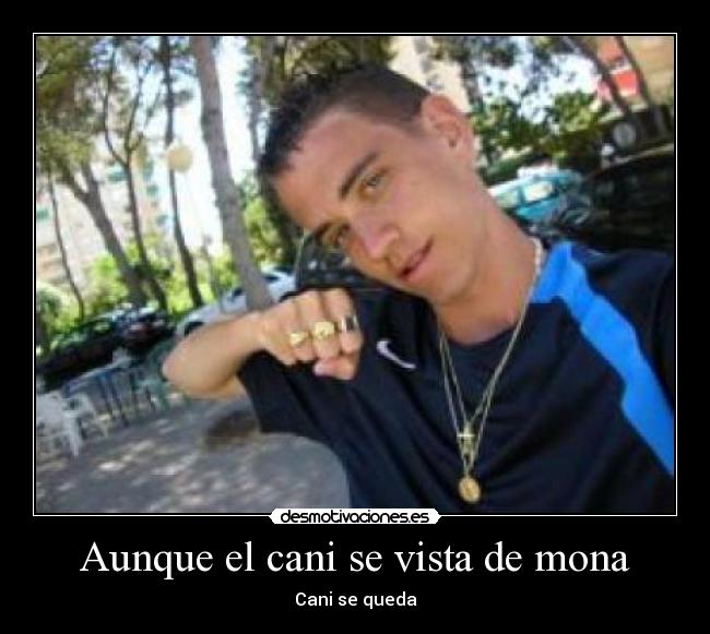 Aunque el cani se vista de mona - Cani se queda