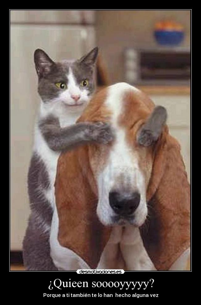 ¿Quieen sooooyyyyy? - 