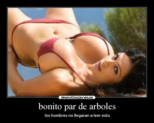 bonito par de arboles - 