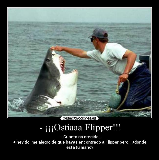 - ¡¡¡Ostiaaa Flipper!!! - - ¡¡Cuanto as crecido!!
+ hey tio, me alegro de que hayas encontrado a Flipper pero... ¿donde esta tu mano?
