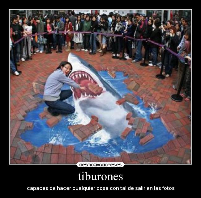 tiburones - 