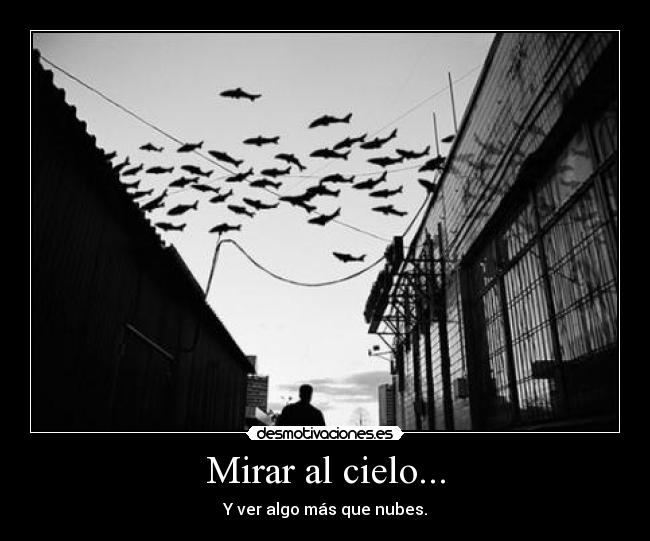Mirar al cielo... -