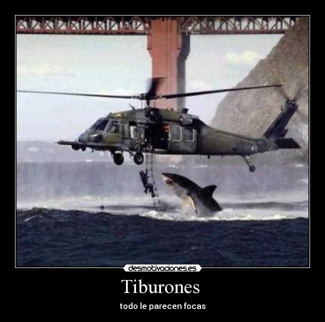 Tiburones -