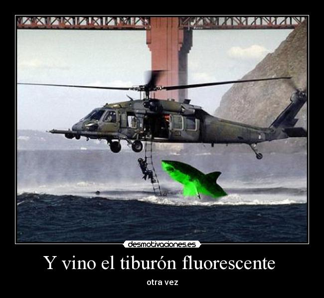 Y vino el tiburón fluorescente - otra vez
