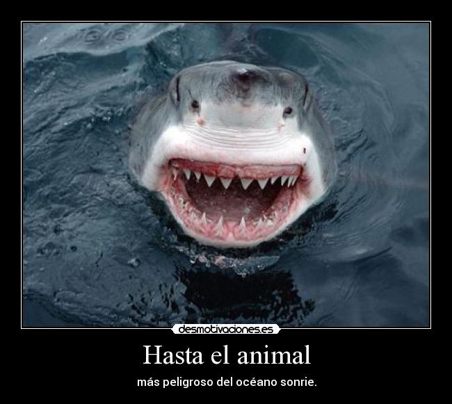 Hasta el animal -