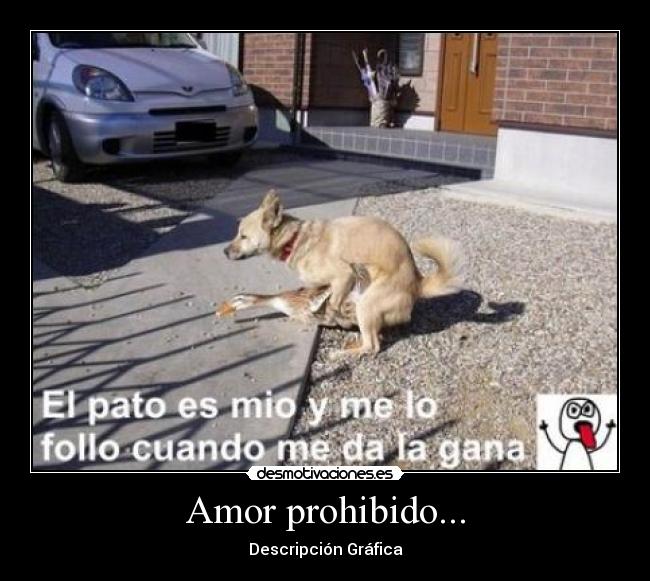 Amor prohibido... -