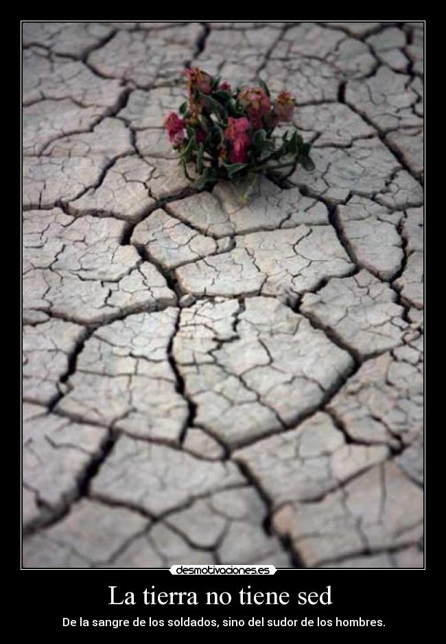 La tierra no tiene sed  - 