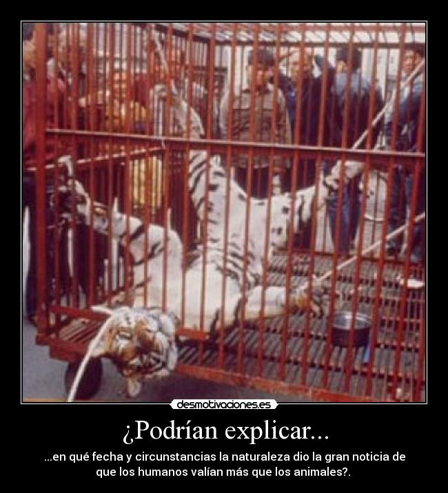 carteles maltrato animal animalista naturaleza desmotivaciones