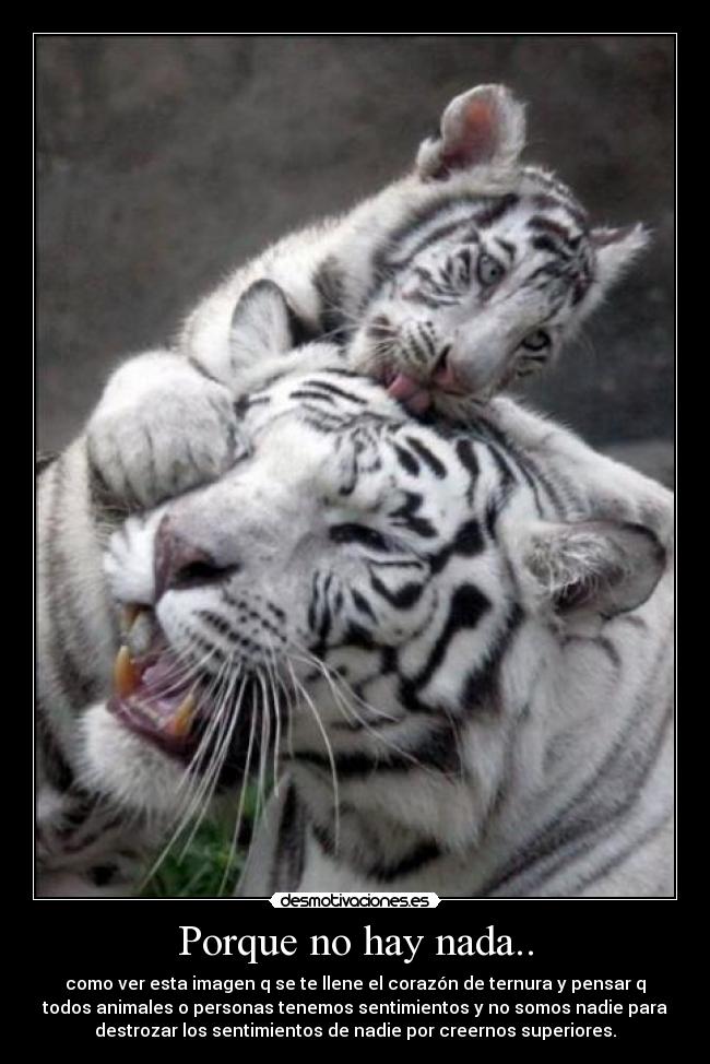 Porque no hay nada.. - como ver esta imagen q se te llene el corazón de ternura y pensar q
todos animales o personas tenemos sentimientos y no somos nadie para
destrozar los sentimientos de nadie por creernos superiores.