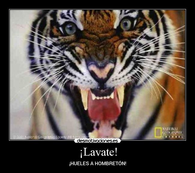 ¡Lavate! - 