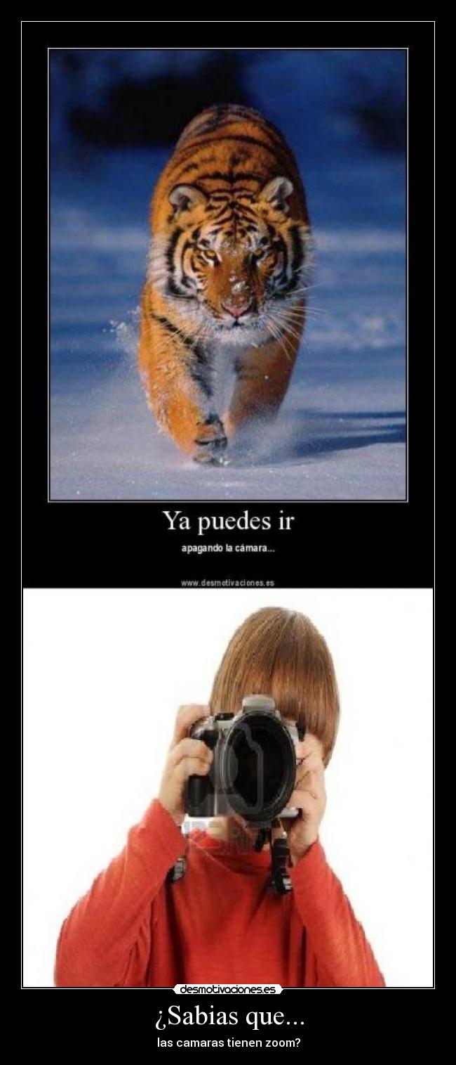 ¿Sabias que... - las camaras tienen zoom?