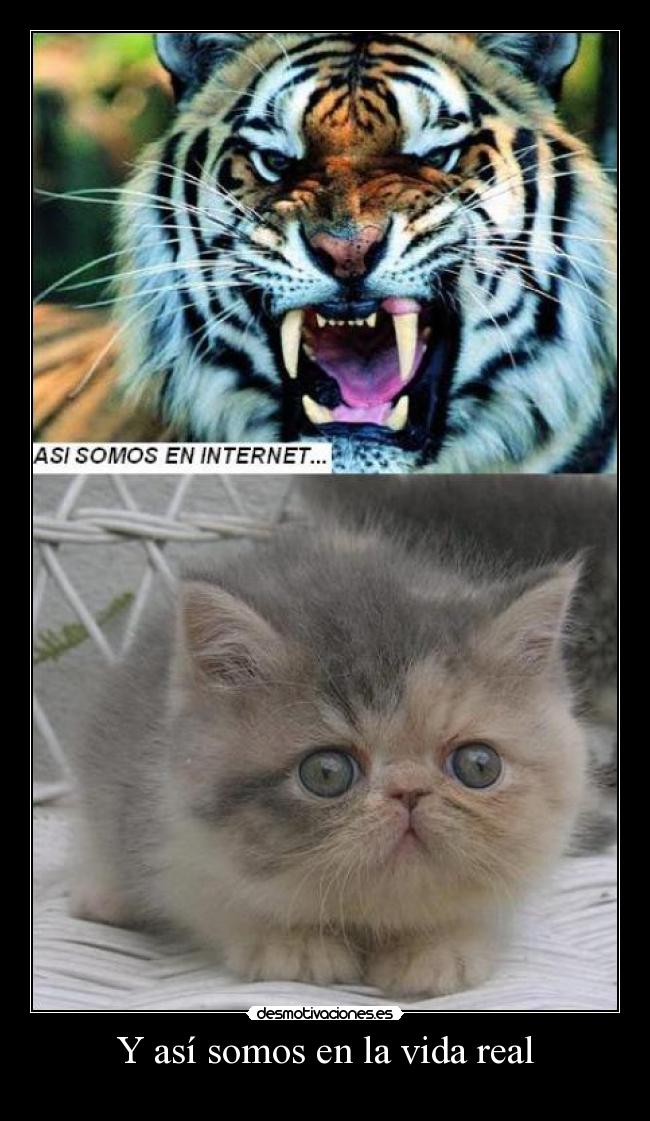 Y así somos en la vida real - 