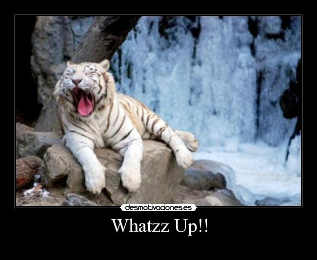 Whatzz Up!! -
