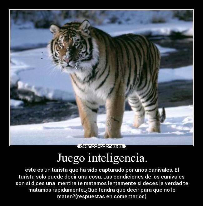 Juego inteligencia. - 