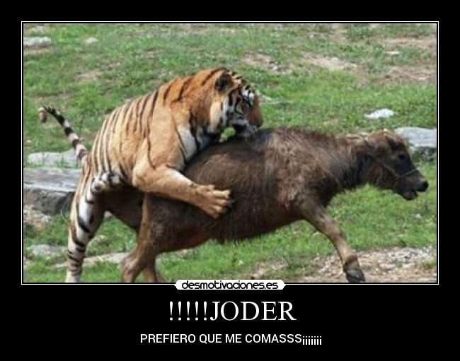 carteles wwwdesmotivacioneses desmotivaciones