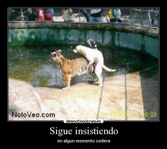 carteles xexomlg desmotivaciones