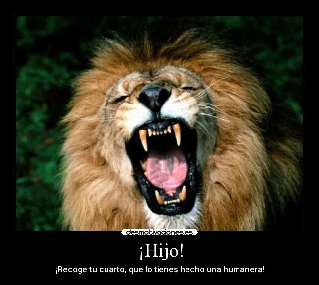 ¡Hijo! - ¡Recoge tu cuarto, que lo tienes hecho una humanera!