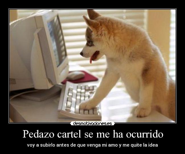 carteles perro desmotivaciones amo quitar idea desmotivaciones