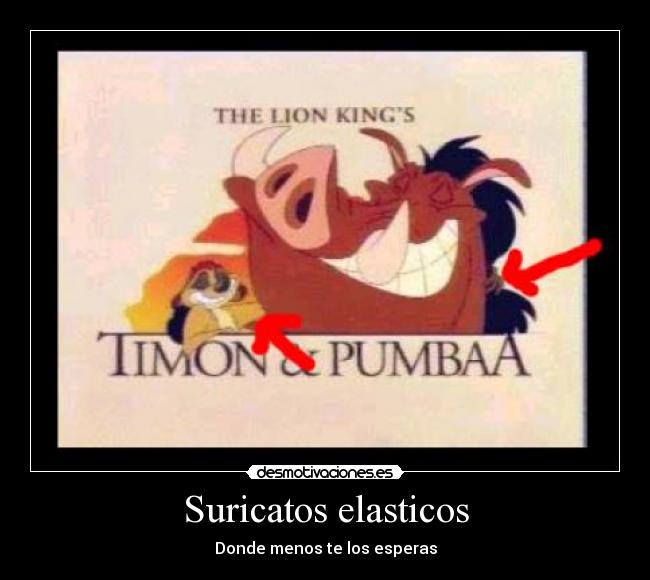 carteles animales desmotivaciones