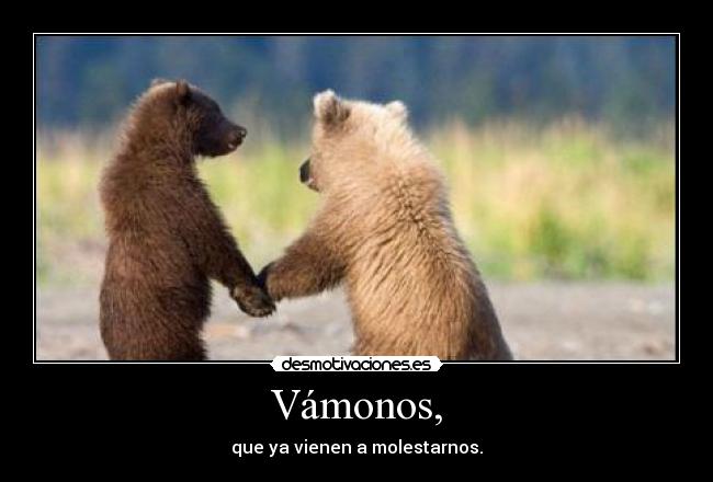 Vámonos, - que ya vienen a molestarnos.