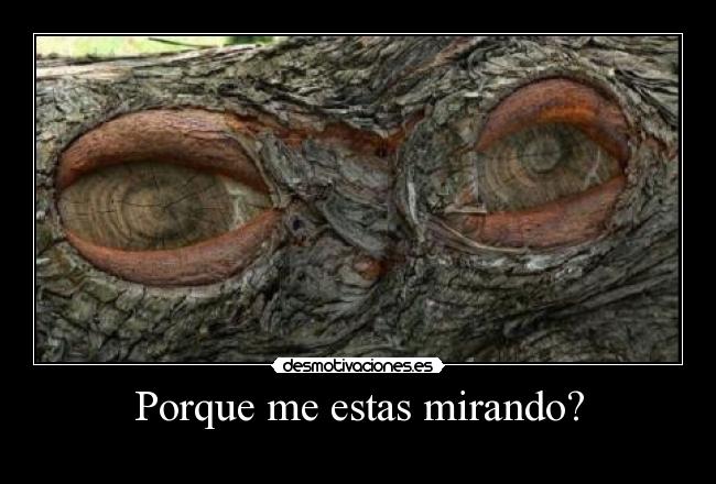 carteles ojos desmotivaciones
