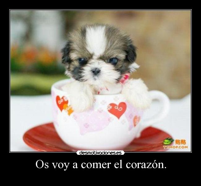 Os voy a comer el corazón. -
